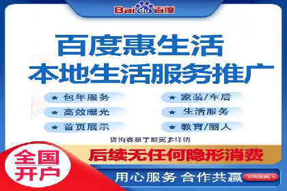 谷歌竞价广告与SEO结合的营销案例解析